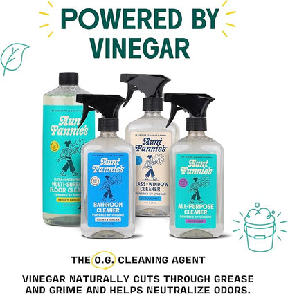 Aunt Fannie's All Purpose Household Cleaner, Multi-surface Spray, Powered by Vinegar for Kitchen, Bath, Windows and Countertops, Eucalyptus Scent (Pack of 3)