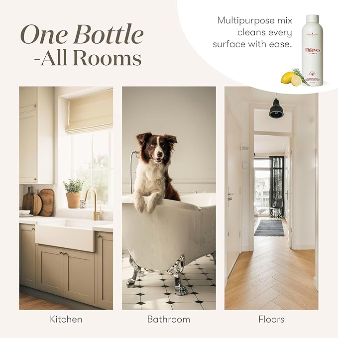 Young Living Thieves Household Cleaner Natural Cleaning Solution, Non-Toxic, A Safely Clean and Healthy Home, Effective for Household Surface - 14.4 fl.oz. - 2 bottles