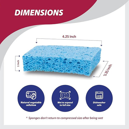 HIC Kitchen Pop-Up Sponges, Rectangular, Natural Vegetable Cellulose, Set of 4