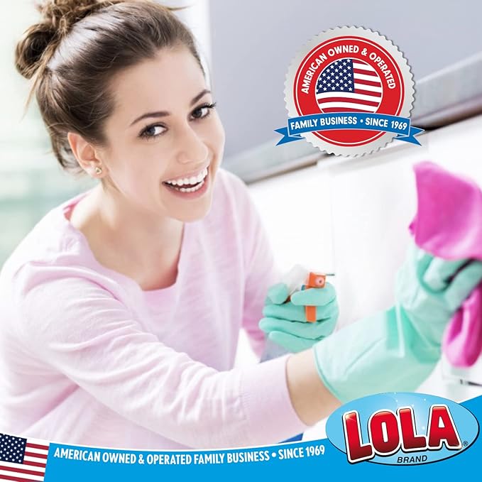 LOLA Nylon Net Sponge Cleaning Pad, Non Scratch Scrubbers, Safe on Non-Stick Surfaces & Coated Cookware & Dishes - Gentle Effective Cleaning, 1 Count