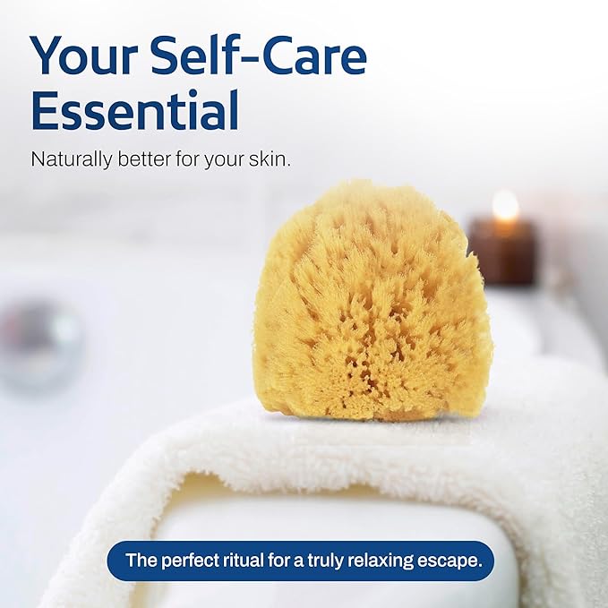 HartFelt Exfoliating Grass Sea Sponge 4in | Natural Exfoliating Body Scrubber Sponge for Shower for Women and Men (Pack of 2)
