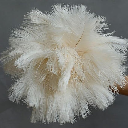 Ostrich Feather Dusters, Naturally Soft, Easy to Dust, Multi-Purpose Use, Solid Wood Handle, 17.3'' Long, White