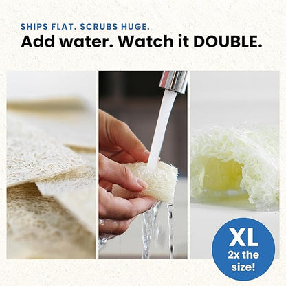 Scrub & Throw XL Loofah Scrub Sponge, Natural, Plastic-Free, Non-Scratch, for Kitchen, Dishes, Pots and Cleaning, Plant-Based, Plastic-Free, Eco-Friendly, Biodegradable, 30 Pack