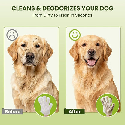 12PCS Hypoallergenic Pet Glove Wipes for Dogs, Cats & Small Animals | No-Rinse Deodorizing Dog Wipes for Paws, Butt, Eyes & Ears | Pet Wipes for Stain & Odor Cleanup Between Baths & Travel