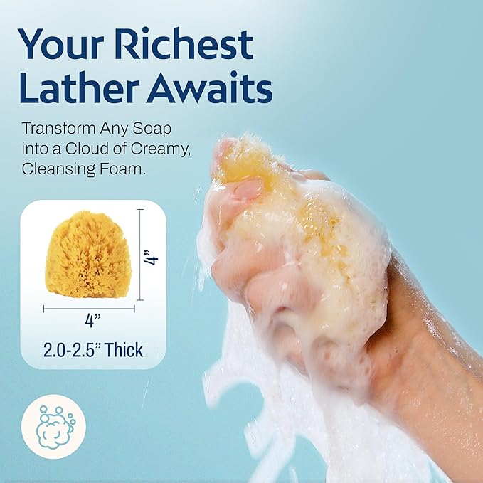 HartFelt Exfoliating Grass Sea Sponge 4in | Natural Exfoliating Body Scrubber Sponge for Shower for Women and Men