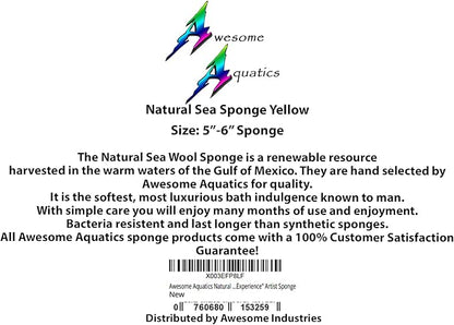 Awesome Aquatic Natural Sea Sponge Amazing Natural Renewable Resource Creating The in Home Perfect Bath and Shower Experience Artist Sponge (Yellow Grass 5-6 Inch)