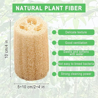 Natural Loofah Sponges, Kitchen Washing Up Sponge, Non Scratch Organic Luffa Sponge, 4 PCS Pack of Non-Odor Dish Sponges, Plastic-Free Unbleached Loofah for Kitchen Cleaning and Shower