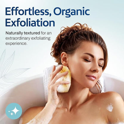 HartFelt Exfoliating Grass Sea Sponge 4in | Natural Exfoliating Body Scrubber Sponge for Shower for Women and Men