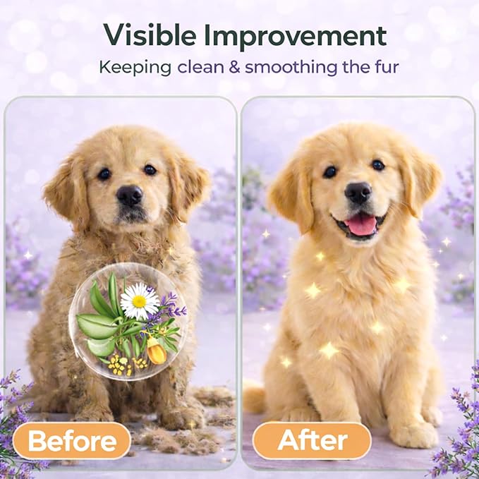 Aurora Pet Glove Wipes for Dogs & Cats, Wearable No-Rinse Grooming Glove Wipes for Paws, Face, Ears & Body, Hypoallergenic Disposable Pet Cleaning Wipes, Lavender Scented, 24 Count