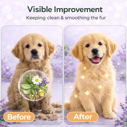 Aurora Pet Glove Wipes for Dogs & Cats, Wearable No-Rinse Grooming Glove Wipes for Paws, Face, Ears & Body, Hypoallergenic Disposable Pet Cleaning Wipes, Lavender Scented, 24 Count