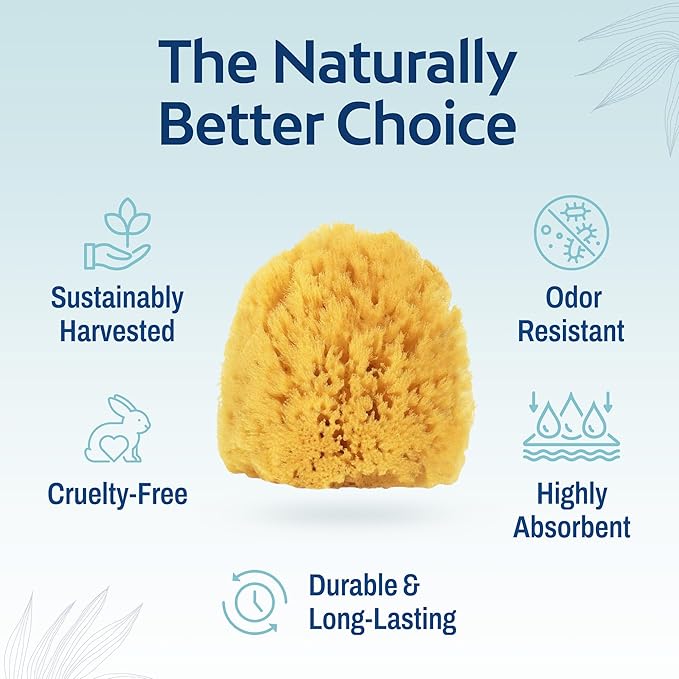 HartFelt Exfoliating Grass Sea Sponge 4in | Natural Exfoliating Body Scrubber Sponge for Shower for Women and Men (Pack of 2)
