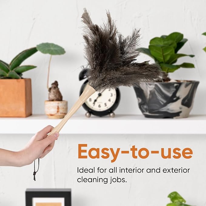 Superio Ostrich Feather Duster Fluffy Dust Remover, with Wooden Handle Reusable for Cleaning Homes, Ceilings, and Furniture (12 Pack)