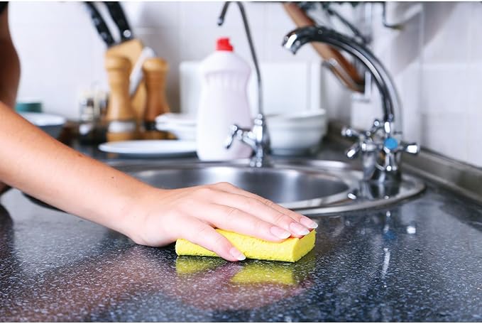 HIC Kitchen Pop-Up Sponges, Rectangular, Natural Vegetable Cellulose, 2 Sets of 4