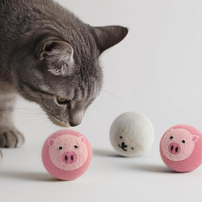 Wool Dryer Balls XL 6-Pack with Felt Storage Box, 100% Pure Wool Dryer Balls, Reusable Laundry Dryer Balls, Reduce Drying Time Wrinkles Static, Natural Fabric Softener Alternative (Pink Pig)