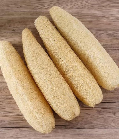 Natural Organic Loofah Sponge, Bath Body Scrubbers Loofa for Men and Women, Exfoliating Body Back Scrubber,Shower Loofah，wash Dishes, wash Cups