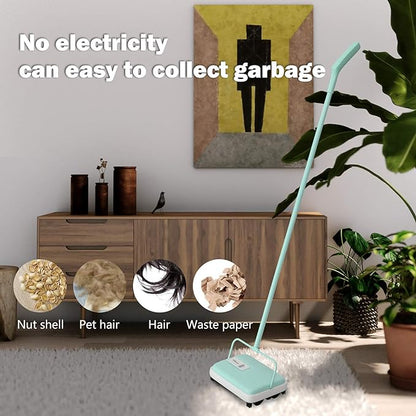 Eyliden Carpet Sweeper, Mini Size Lightweight Hand Push - No Noise, Non-Electric, Easy Manual Sweeping Only for Carpet Cleaning (Mint)