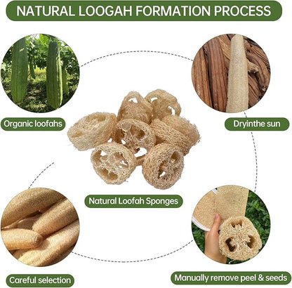 Natural Loofah Sponge for Soap Making, 20 Pack Organic Loofahs Slices Cuts Set, Loofa Exfoliating Body Scrubber, Shower Sponge Luffas for Women and Men