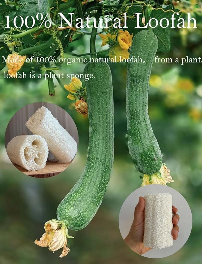4" Plant Sponge 100% Natural Loofah Dish Sponges, Natural Dishwashing Sponges for Kitchen, Kitchen Scrubber Loofahs - 12 Pack