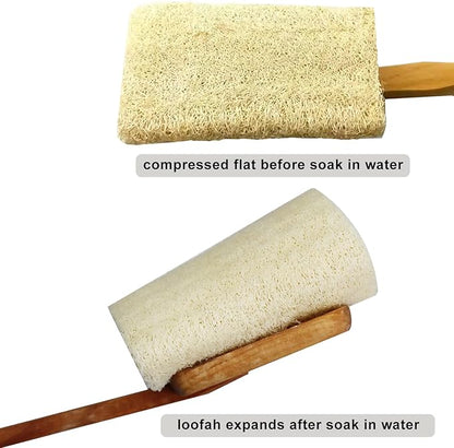 2 Pack Natural Exfoliating Loofah Luffa Loofa Bath Brush On a Stick, Shower Sponge Back Scrubber with Long Wooden Handle for Men & Women, Deep Clean and Invigorate Your Skin Back Brush