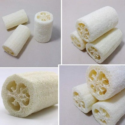 100% Large (5" Length) Nature 6 Pack of Organic Loofahs Loofah Spa Exfoliating Scrubber Natural Luffa Body Wash Sponge Remove Dead Skin Made Soap