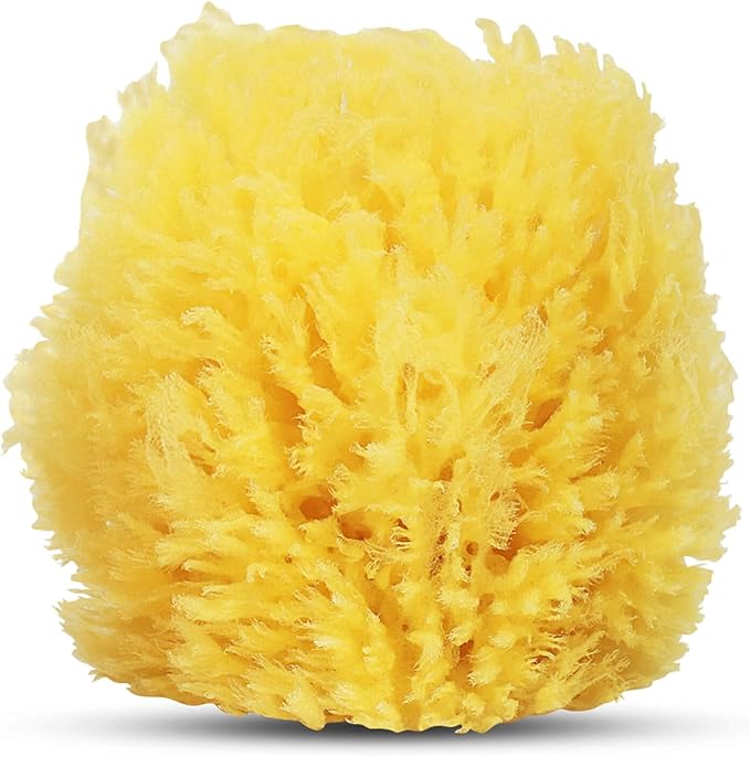HartFelt Exfoliating Grass Sea Sponge 4in | Natural Exfoliating Body Scrubber Sponge for Shower for Women and Men