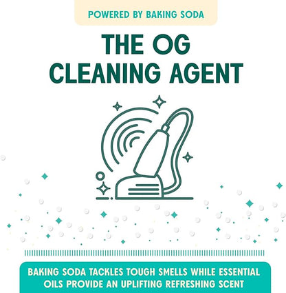 Aunt Fannie's Sink Refresher, Bright Lemon Powder Scrub and Odor Minimizer for Sinks, Drains and Garbage Disposals, 16 Ounces (Pack of 6)