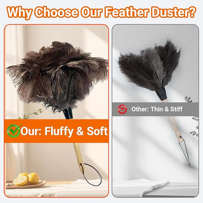 NCEDN Genuine Ostrich Feather Duster 15 inches – Soft Dense Real Feathers, Wooden Handle, Feather Duster for Cleaning Furniture, Blinds & Car Interior