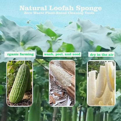 3-Pack Natural Dish Sponge Natural Loofah Sponges – Handheld Kitchen Dish Scrubber for Grease Removal, Plastic-Free Cleaning Tool