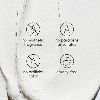 LATHER - Natural Sea Wool Sponge, 5-6" - Organic Exfoliating Body Scrubber - Soft, Gentle Cleansing - Hypoallergenic - All Skin Types - Florida Natural Loofah Sponge - Cruelty Free - Beauty & Skincare