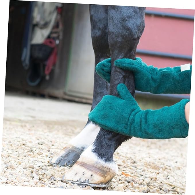 Kisangel PET Cleaning Gloves for Dogs Absorbent Dog Wash Gloves Set for Drying and Grooming for Quick Drying and Paw Cleaning Random Color