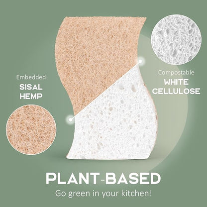 Isshah Plant-Based Kitchen Sponges - FSC Certified and PETA Approved, 12 Count