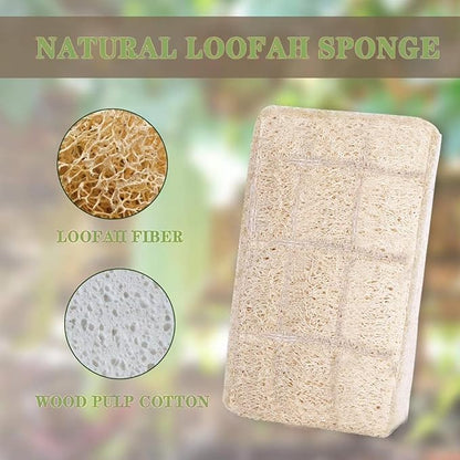 Loofah Dish Sponges Kitchen,Organic Natural Sponges for Dishes,Non Scratch Eco Friendly Biodegradable Cleaning, for Pans, Glass & Delicate Cookware,6PCS