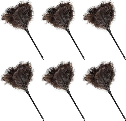 Natural Ostrich Feather Duster 14.9 inch Fluffy Mini Dusters with Plastic Handheld for Cleaning Car Keyboard Office 6 PCS