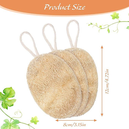 3 Pcs Natural Loofah Dish Sponge, 12X8 CM Loofah Kitchen Sponge, Oval Shape Loofah Sponge for Dishes, Eco Friendly for Non-Stick Cookware and Kitchen Deep Cleaning