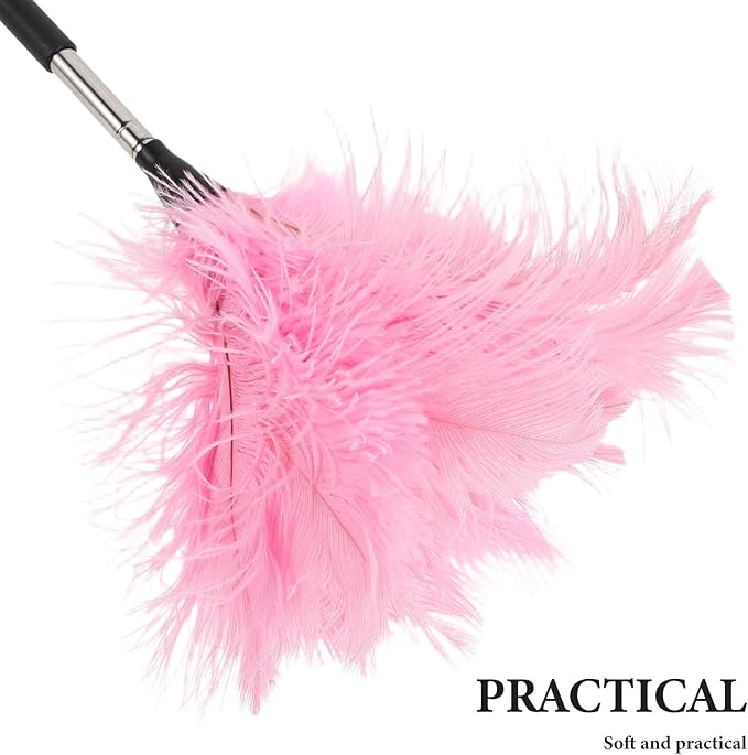 Hand Duster with Extendable Pole - Ostrich Plume Detail Brush Electrostatic Screen Cleaning Tool for Office Car Laptop Screen Keyboard TV (Pink)