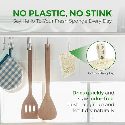 AIRNEX Natural Loofah Sponges for Dishes - Pack of 6 Plastic Free Loofah Kitchen Sponges with Cellulose Core & Cotton Loop - Non Toxic Natural Sponges for Dishes & Kitchen Cleaning
