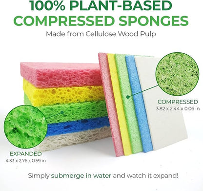 AIRNEX Compressed Cellulose Sponges - 32 Pack Natural Pop Up Dish Sponge for Kitchen - Compostable Plant-Based Cleaning Sponges Bulk – Non Scratch Natural Sponge for Dishes & Household Cleaning