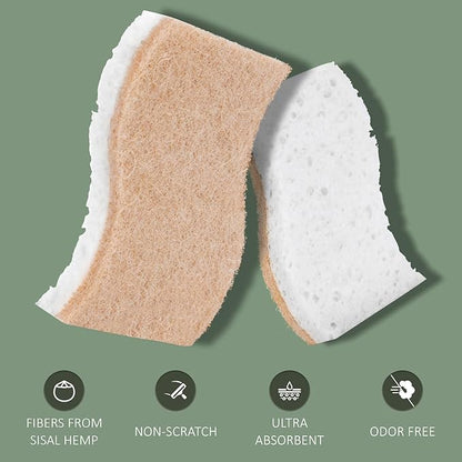 Isshah Plant-Based Kitchen Sponges - FSC Certified and PETA Approved, 12 Count