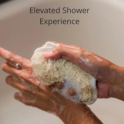 Natural Loofah Sponge – Premium Egyptian Shower Exfoliating Loofah, Lufas for Men and Women, 2‑Count