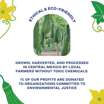 All Natural Loofah Kitchen Sponge (4 Pack) - Eco Friendly Sponges - Compostable Sponge - Biodegradable Sponges Kitchen - Natural Sponges for Dishes