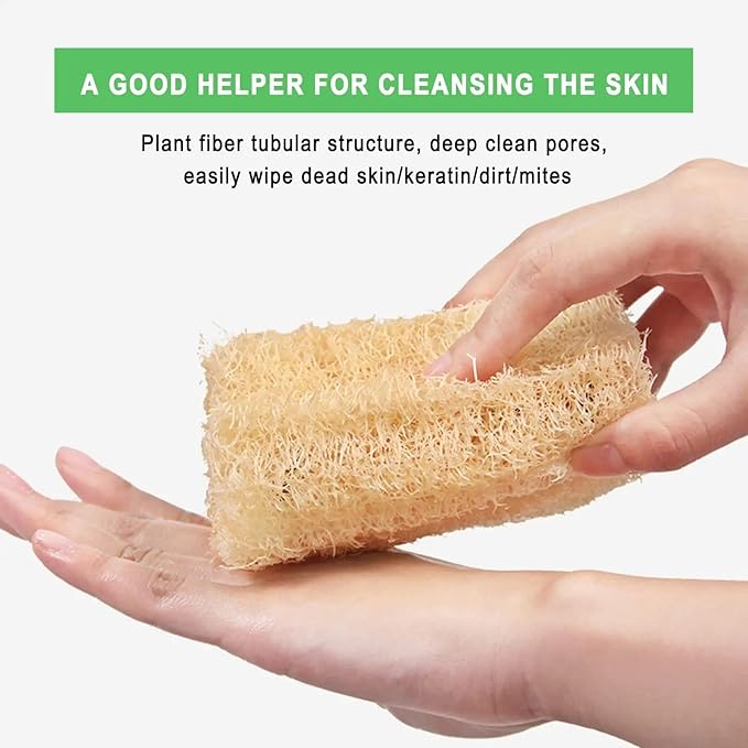 Natural Loofah Sponges, Kitchen Washing Up Sponge, Non Scratch Organic Luffa Sponge, 4 PCS Pack of Non-Odor Dish Sponges, Plastic-Free Unbleached Loofah for Kitchen Cleaning and Shower