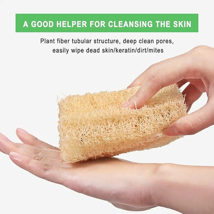 Natural Loofah Sponges, Kitchen Washing Up Sponge, Non Scratch Organic Luffa Sponge, 4 PCS Pack of Non-Odor Dish Sponges, Plastic-Free Unbleached Loofah for Kitchen Cleaning and Shower