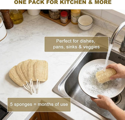 Natural Loofah Sponge with Handle, 5-Piece Replaceable Eco Sponges for Cleaning, Non-Scratch Scrubber for Dishwashing Cookware Pans, Kitchen Eco-Friendly Tools (5)