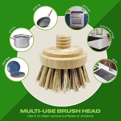 JuneLily Sisal & Coconut Dish Brush Heads Plant-Based Replacement for Washing Dishes Kitchen Bathroom (Coconut Brush Head)
