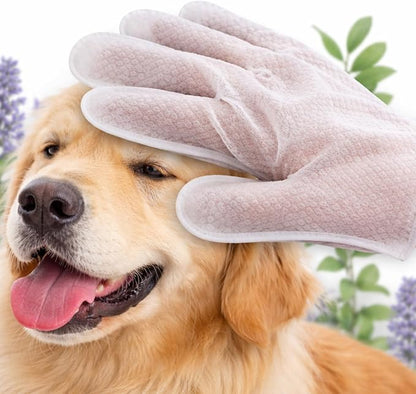 Aurora Pet Glove Wipes for Dogs & Cats, Wearable No-Rinse Grooming Glove Wipes for Paws, Face, Ears & Body, Hypoallergenic Disposable Pet Cleaning Wipes, Lavender Scented, 12 Count