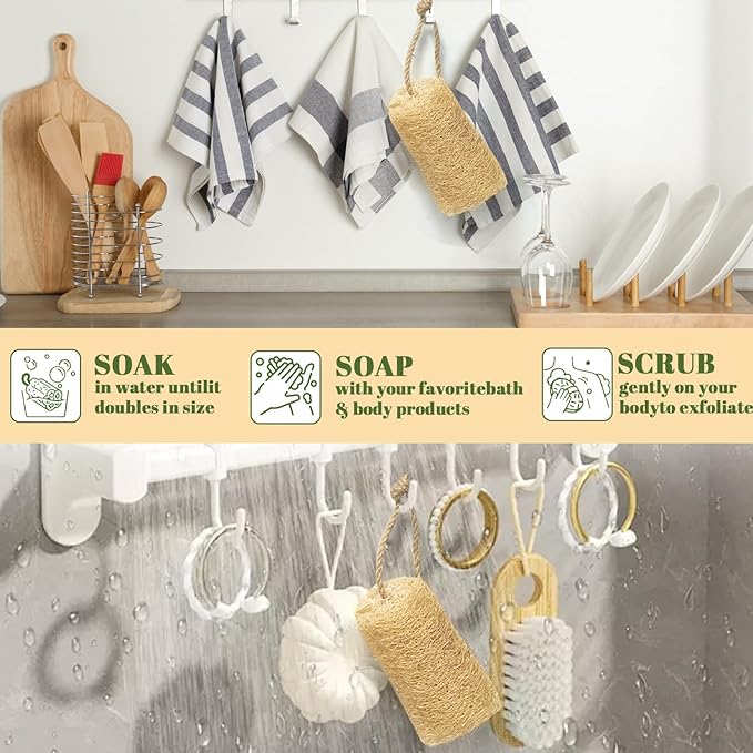 Natural Loofah Sponge, 4pcs Loofah Vegetable Scrubber for Kitchen, Reusable Natural Dish Sponge for Cleaning and Shower Scrubbing, 4.72inch(Non-Vacuum Packed)