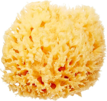 HartFelt Delicate Skin Wool Sea Sponge 4 in | Real Natural Sponges for Body and Face Gentle Care | Luxurious Lather