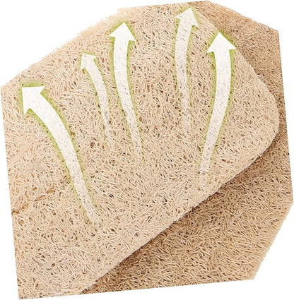10pcs Natural Loofah Dish Sponge Dish Sponges Loofah for Washing Kitchen Scrubbers Scratch Cleaning
