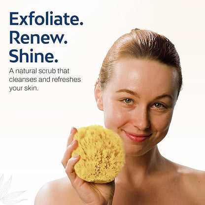 HartFelt Exfoliating Grass Sea Sponge 4in | Natural Exfoliating Body Scrubber Sponge for Shower for Women and Men