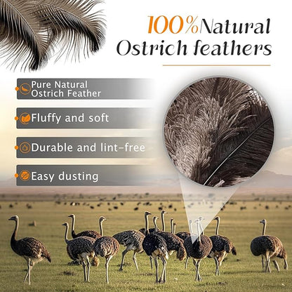 Ostrich Feather Duster 62 Inch Fluffy Natural Genuine Ostrich Feathers Plastic Handheld Eco-Friendly Reusable Ostrich Feather Duster for Cleaning Supplies